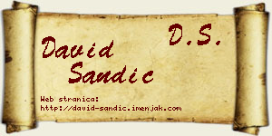 David Sandić vizit kartica